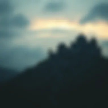 Magnificent 바카라페어의 전략과 이해