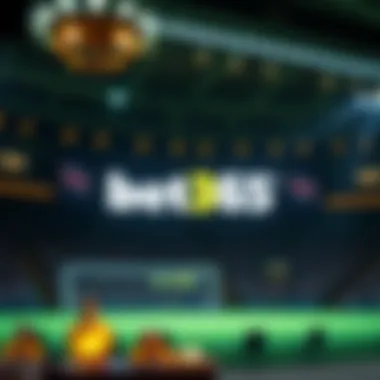 Magnificent bet365 카지노 보너스의 모든 것 Magnificent bet365 카지노 보너스의 모든 것