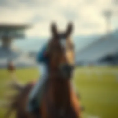 Magnificent 블랙잭 하는 법: 게임의 기초부터 전략까지 Magnificent 블랙잭 하는 법: 게임의 기초부터 전략까지