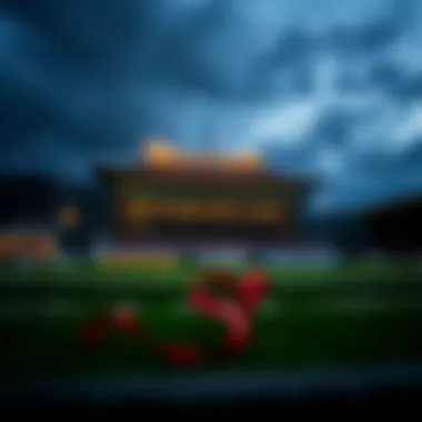 Magnificent 최고의 축구 베팅 플랫폼 탐색 Magnificent 최고의 축구 베팅 플랫폼 탐색