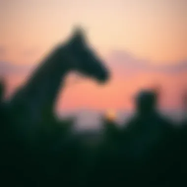 Magnificent 드래곤 타이거: 전략과 분석 Magnificent 드래곤 타이거: 전략과 분석
