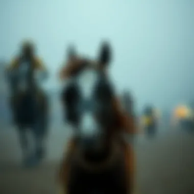 Magnificent 영국 최고 카지노 탐구 Magnificent 영국 최고 카지노 탐구