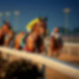 Detailed analysis of horse racing odds