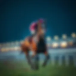 Thoroughbred racehorse in full stride