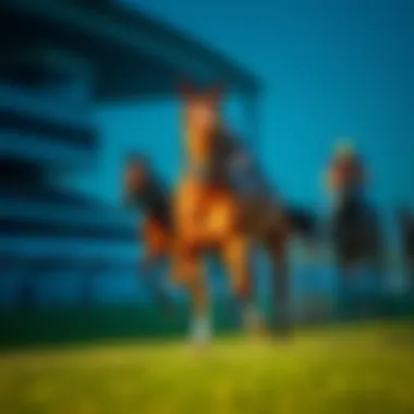 Tips for successful horse betting