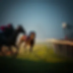 Understanding horse racing odds